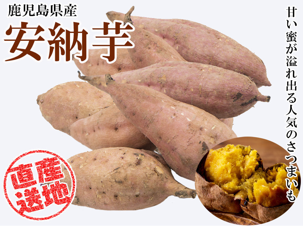 【最安値挑戦祭】安納芋 さつまいも 5kg 送料無料 産地直送 産直 土付き さつま芋 薩摩芋 焼きいも 焼き芋 石焼き芋 芋 いも イモ 鹿児島県産 ngs-006