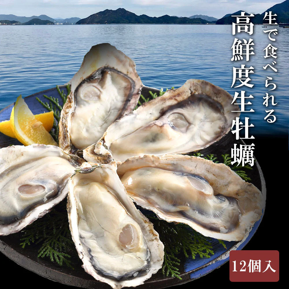 生食用殻付き牡蠣　12個入り