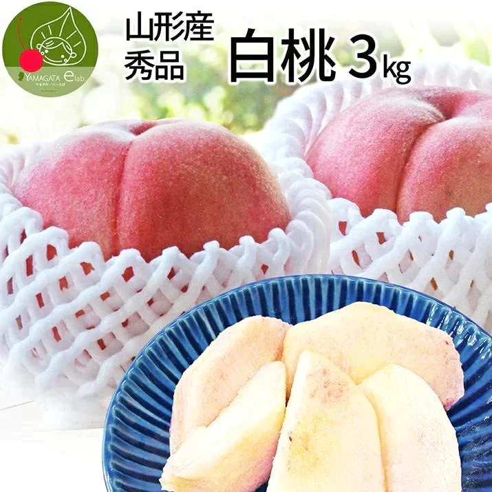 【8月上旬発送】 山形県産 白桃 3kg（約9～11玉前後） 秀品 産地直送の桃 あかつき お供え 川中島白桃 贈答用 ギフト 硬い桃 美晴 クール便発送・同梱不可 日時指定不可 送料無料 果物 フルーツ【エコ得SALE】