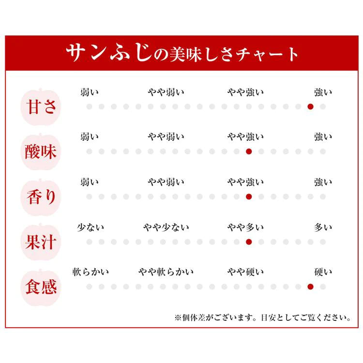 サンふじ 3kg 青森県産 秀A CA貯蔵 産地直送 高木商店 マルタカ りんご 林檎 リンゴ 産直 常温便