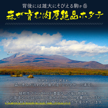 【先着30購入限定】北海道噴火湾産 特大蒸しホタテ 約1kg［NET800g］ 特大2Lサイズ16～20個入 生食可 ボイルほたて ボイルホタテ ボイル帆立
