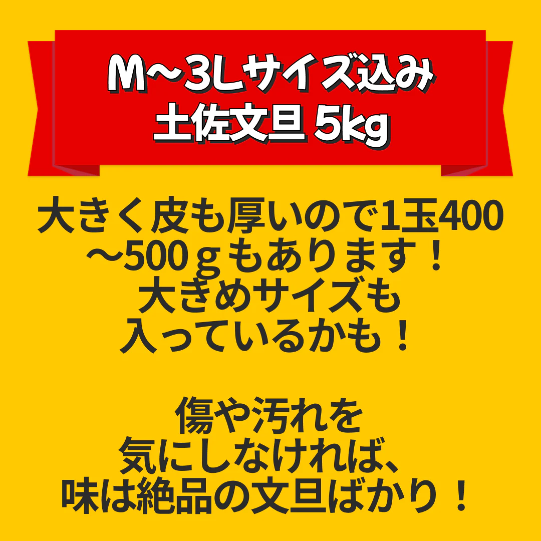 【f文 05】 土佐文旦 5kg 【家庭用・M～3Lサイズ込み・多少の葉傷・黒点が含まれます】 【高知県産】 【送料無料※北海道・沖縄・離島への配送は別途1000円の送料となります。】 みかん 文旦 柑橘 フルーツ ぶんたん【エコ得リリースSALE】