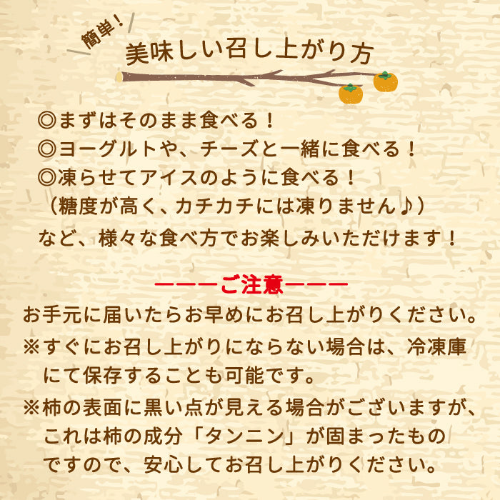 会津みしらず あんぽ柿個装 (5個入)　常温便*【特産品・ご当地特集】