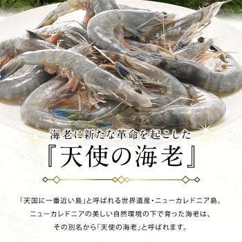 ニューカレドニア産　天使の海老 1kg 40/50サイズ 40～50尾入り［冷凍のみ］【送料無料】【4～5営業日以内に出荷】
