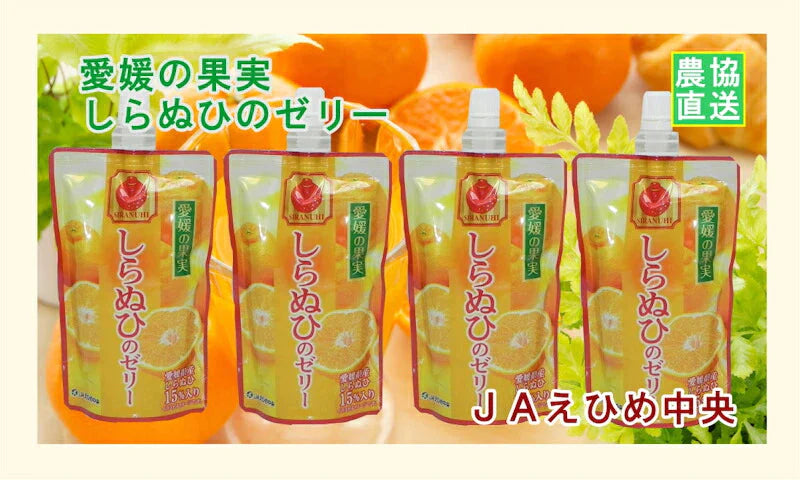 【ゼリー 柑橘類 しらぬひゼリー 送料無料】愛媛県の農協 JAえひめ中央 愛媛の果実 飲むしらぬひのゼリーしらぬひゼリー 150g 24個【お中元 お歳暮 ギフト 贈り物】