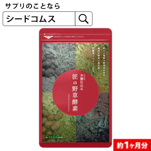 【スーパー在庫処分】匠の野草酵素≪約1ヶ月分≫ ダイエット サプリ送料無料 サプリ サプリメント 酵素  野草酵素 健康食品 野菜不足 乳酸菌  ビタミンC 葉酸 ビタミンB うこん  田七人参  イチョウ はと麦   高麗人参 マカ