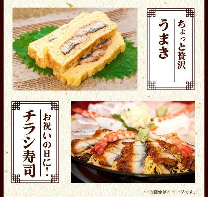 【送料無料】九州産 うなぎ 蒲焼 ウナギ 鰻 蒲焼 国内産 九州 土用の丑の日 お中元 ギフト タレ＆山椒　《7-14営業日以内に出荷予定(土日祝日除く)》