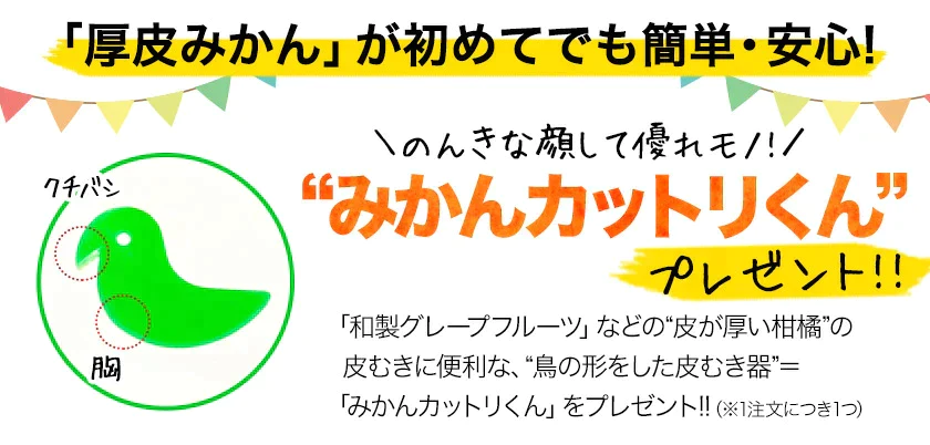 河内晩柑 1.5kg 送料無料 和製 グレープフルーツ 旬 の フルーツ 果物 みかん 別名：夏文旦 愛南ゴールド 宇和ゴールド ジューシーみかん と同品種 晩柑 熊本県産《3月中旬~4月上旬頃発送予定》