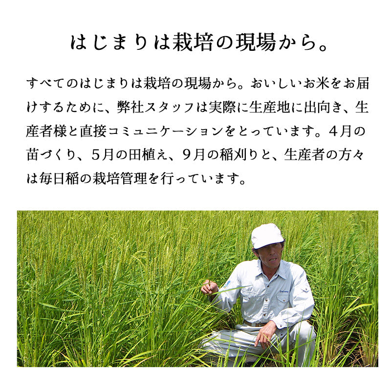 米 10kg 山形産コシヒカリ 令和3年産 お米 白米 10キロ（本州：送料無料）