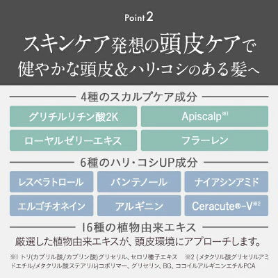 【5本セット】Le ment(ルメント)高濃度炭酸オイルクレンジング＆シャンプー　ブラック 炭酸シャンプー 頭皮ケア クレイシャンプー PPT系洗浄成分 アミノ酸系洗浄成分