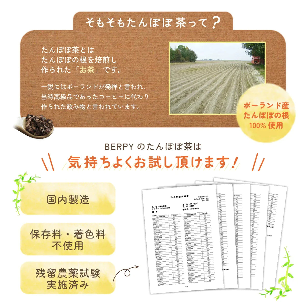 【タイムセール】たんぽぽ茶 国内焙煎 2g×30包 ノンカフェイン ティーバッグ 母乳 育児 タンポポ コーヒー 珈琲 無添加 有機JAS認証工場
