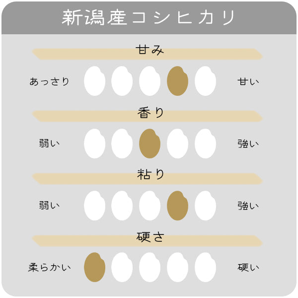 とれたて新米 8kg 新潟産コシヒカリ お米 令和4年産（本州：送料無料）