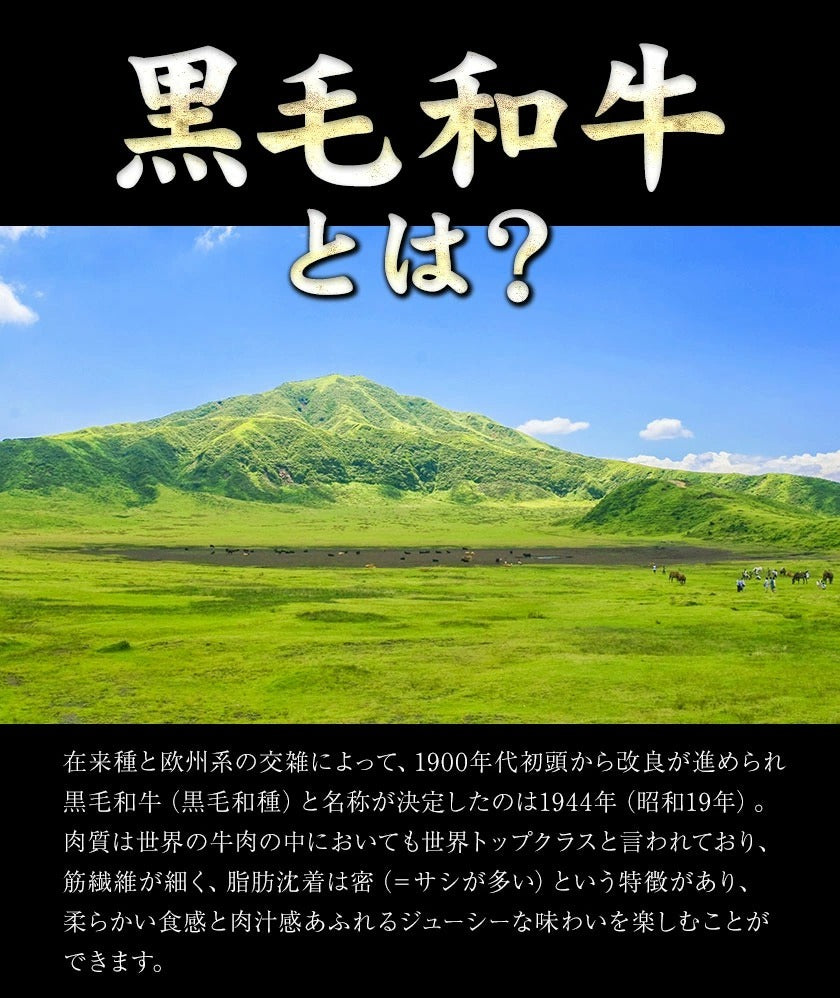 【熊本コレクション】黒毛和牛 リブロース ステーキ 300g 送料無料 ステーキ肉 九州産 国産 リブロースステーキ 和牛ステーキ BBQ バーベキュー 肉 お祝い お歳暮 御歳暮 誕生日 熨斗 のし 食べ物 牛肉 肉 まとめ買い《11月中旬-12月上旬頃より発送予定》