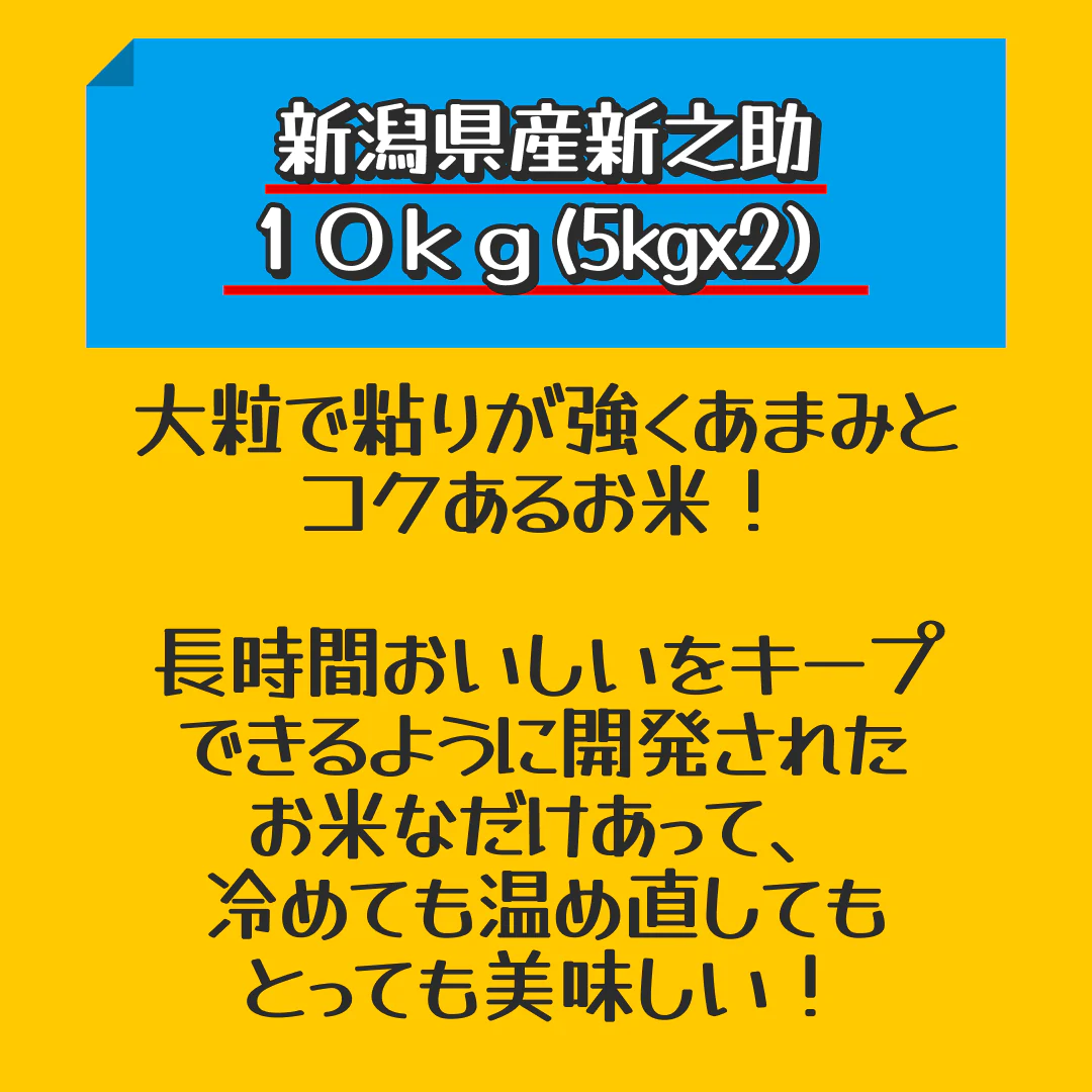 【家計お助けセール】令和４年産 新潟県産新之助 １０ｋｇ(5kgx2) 1等米 出荷日前1週間以内の精米日の白米です