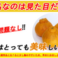 不知火 (デコポン) 訳あり 10kg 送料無料 ご家庭用 箱買い サイズミックス みかん 柑橘 フルーツ 果物 産地直送 愛媛県産 YDF-012