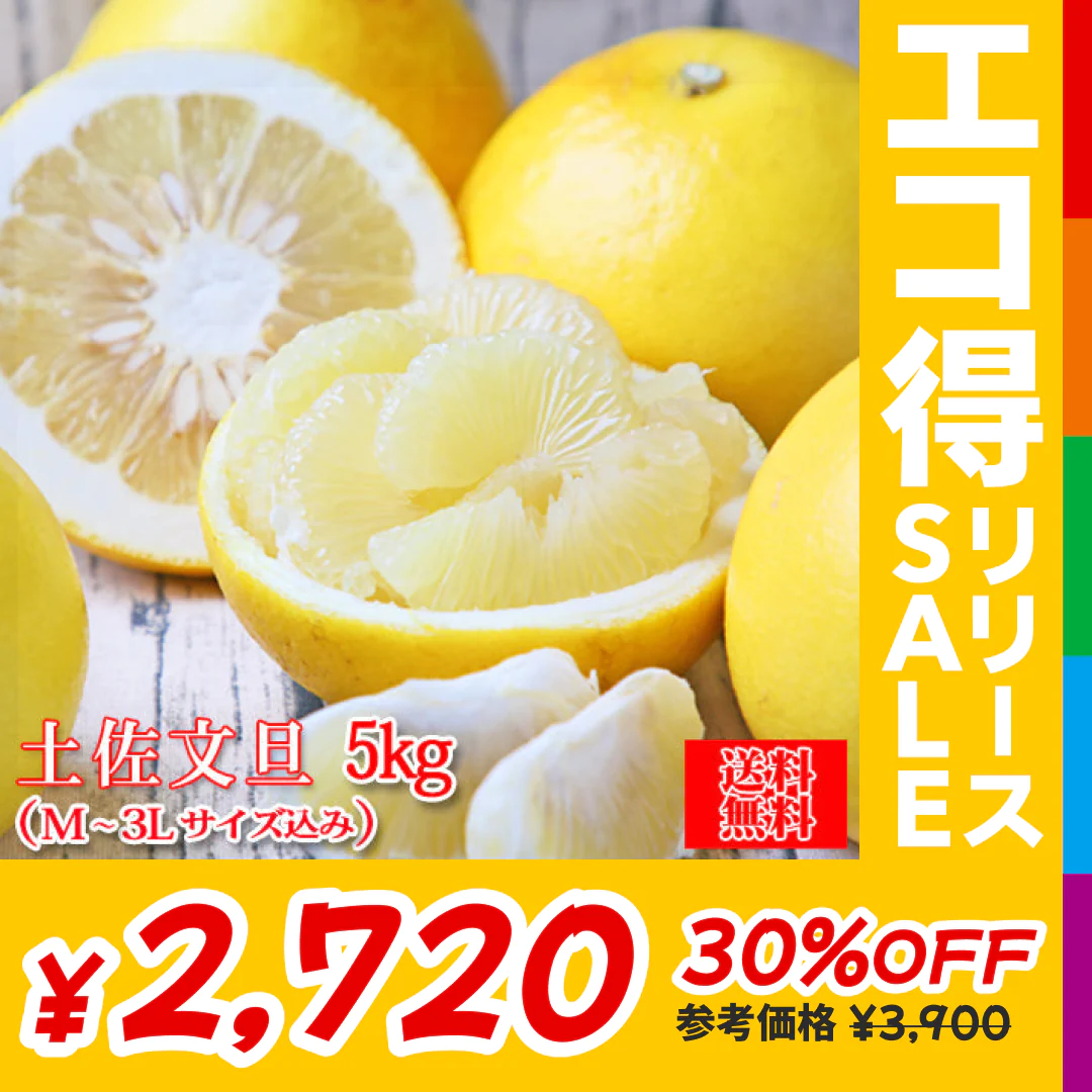 【f文 05】 土佐文旦 5kg 【家庭用・M～3Lサイズ込み・多少の葉傷・黒点が含まれます】 【高知県産】 【送料無料※北海道・沖縄・離島への配送は別途1000円の送料となります。】 みかん 文旦 柑橘 フルーツ ぶんたん【エコ得リリースSALE】