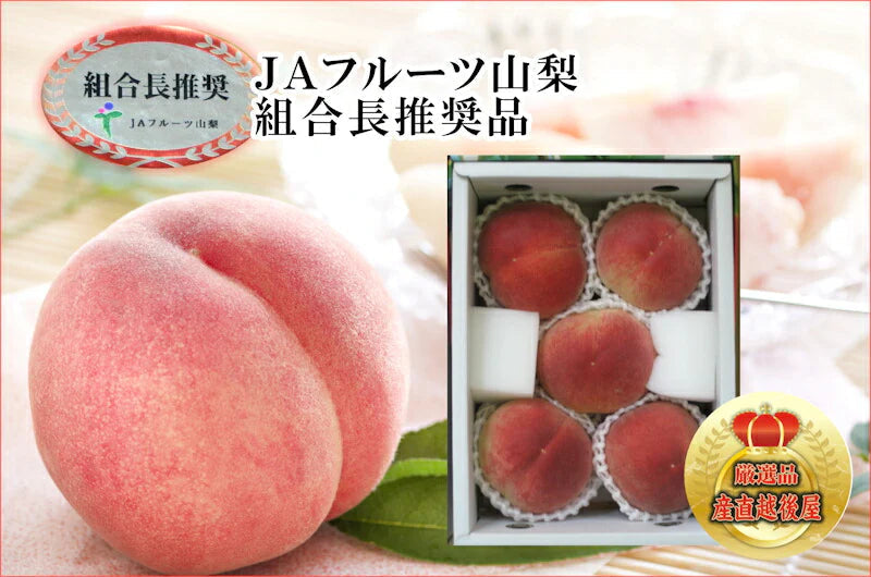 【フルーツ 桃 もも 化粧箱入り】山梨県 ＪＡフルーツ山梨 ハウス栽培組合長推奨の 桃(白鳳系)最高品質 化粧箱5個入り 約1kg送料無料【果物 贈答品 ギフト】