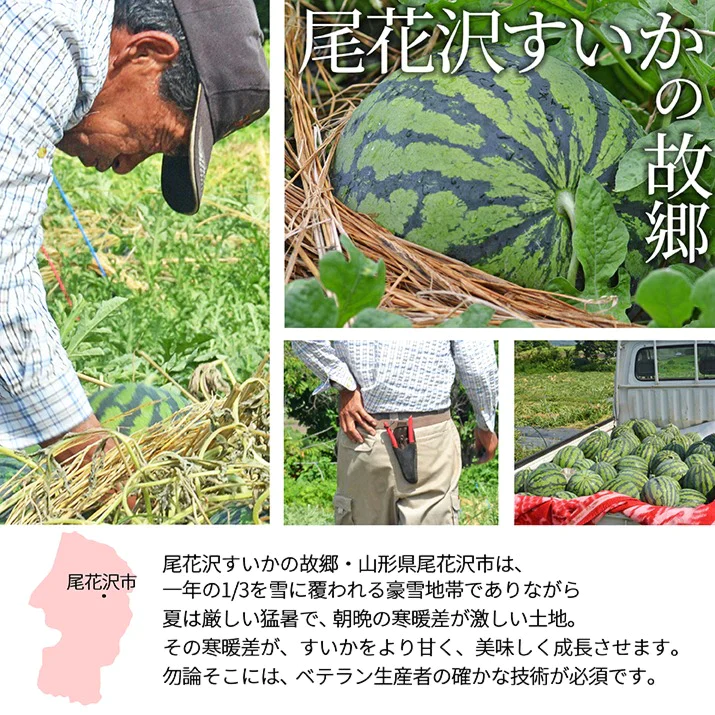 【7月下旬発送】 山形県産 すいか ひとりじめボンボン 秀品 2玉 3kg前後 山形県 尾花沢産 小玉 スイカ サイズ混合 手頃 便利 同梱不可 日時指定不可 送料無料 西瓜 夏 暑さ対策 食べ物