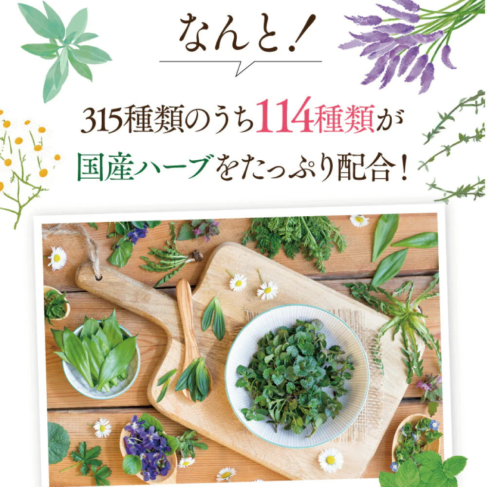 さくらの森【公式】 旬生酵素プレミアム 90ｇ（3ｇ30包） ペーストタイプ 酵素サプリメント 酵素 丸剤 乳酸菌 非加熱 野菜不足 ポッコリお腹 代謝 巡り成分