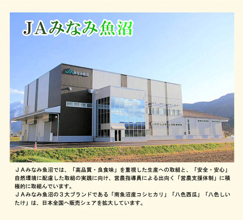 【送料込み】令和５年産 南魚沼産 コシヒカリ 1kg 無洗米 新潟県 南魚沼 JAみなみ魚沼農協真空包装 天地米