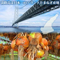 【予約商品 5月発送分 】＃淡路新玉ねぎ【訳あり】10Ｋ＃