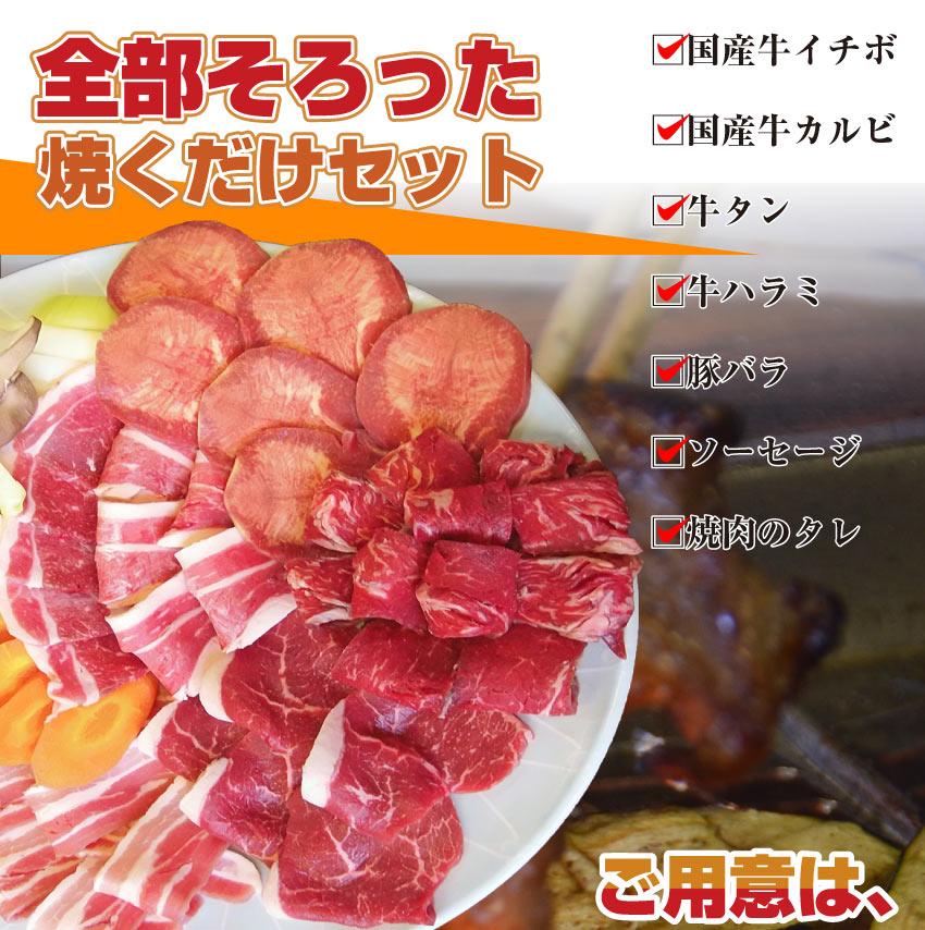 バーベキュー メガ盛り セット 冷凍たっぷり6～8人前 福袋 （ 総重量 2.1kg ）