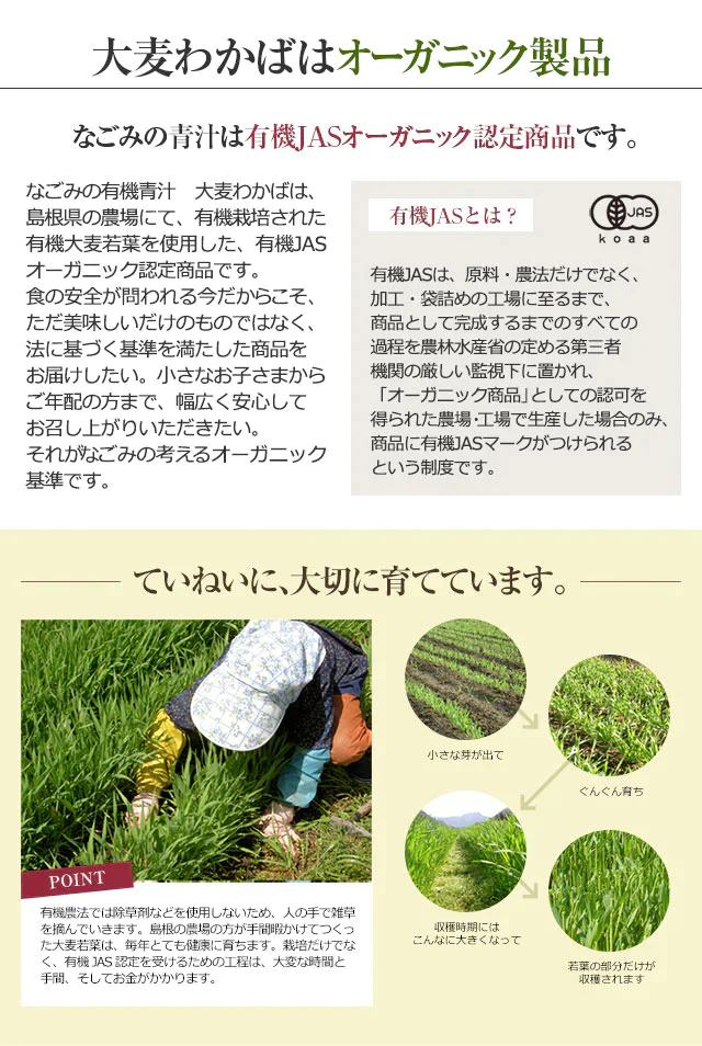 青汁 オーガニック 大麦若葉 有機JAS 国産 粉末 100g 約50日分 m3 【送料無料】 【 島根県産 パウダー 食物繊維 野菜不足 大麦 緑黄色野菜 】【エコ得】