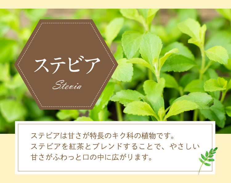 【3人シェア買いでお得】贅沢はちみつ紅茶 カップ用 15個入