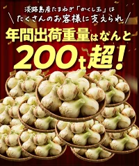 今井ファーム　 淡路島 新玉ねぎ かくし玉　５K  ＃かくし玉訳あり5Ｋ＃