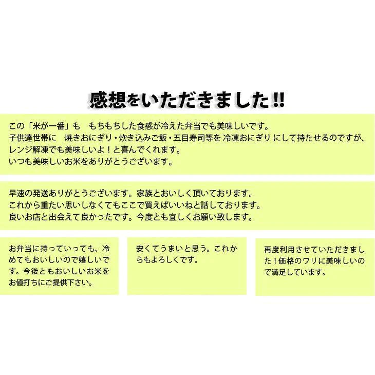 【タイムセール】ブレンドこしひかり「米が一番」10ｋｇ