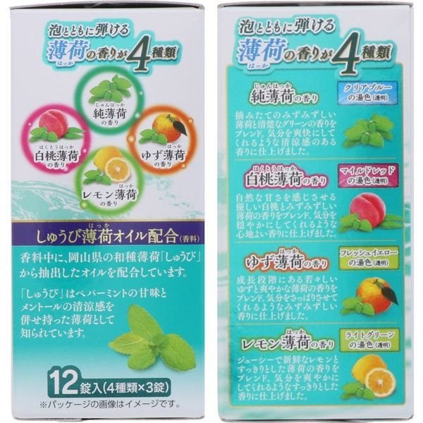 入浴剤 炭酸 温泉の素 温泡 ONPO さっぱり炭酸湯 こだわり薄荷 1箱(4種類×3錠) バラ売り