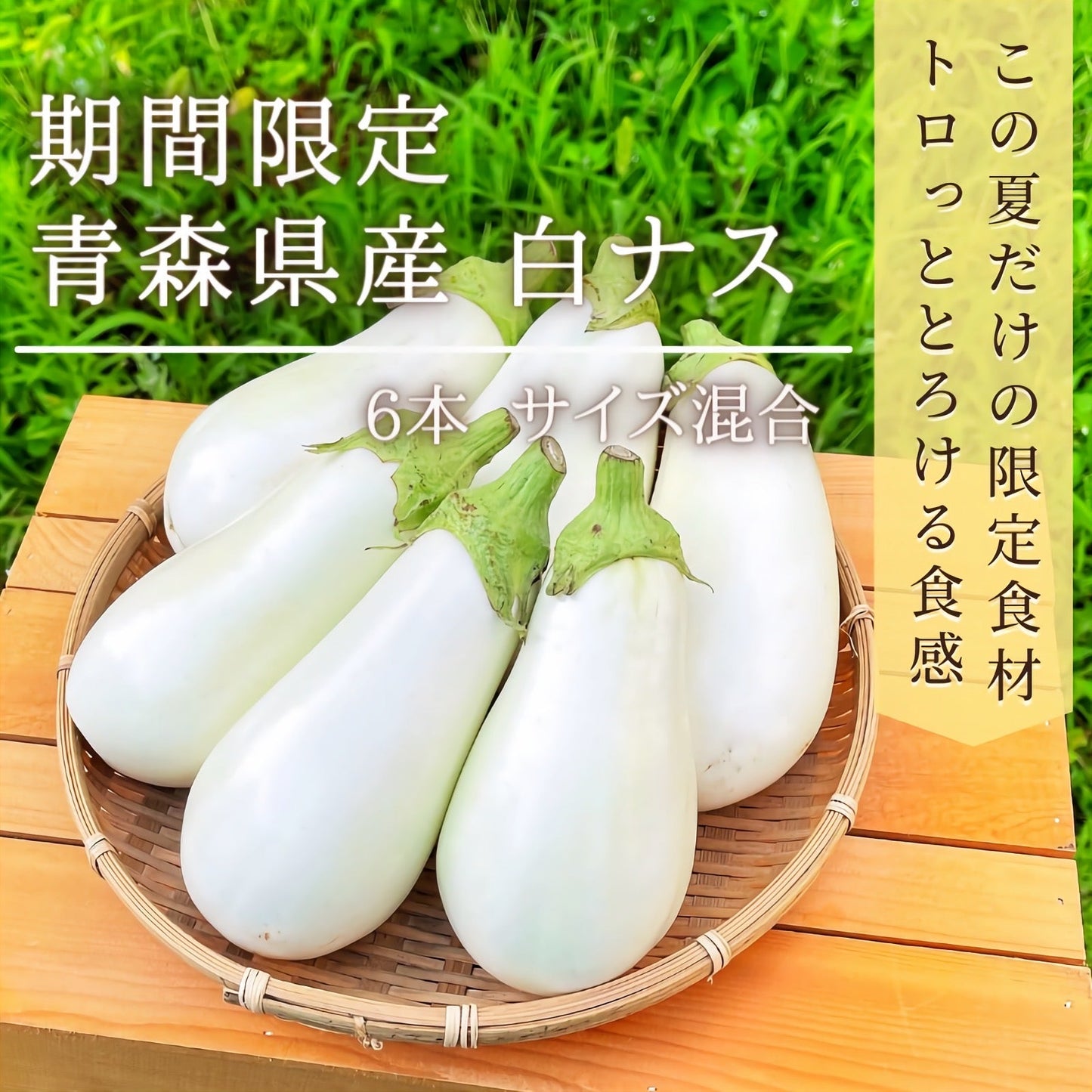 【トロッと食感】白ナス 6本 サイズ混合 期間限定 青森県産 産地直送 2022年産 送料無料 野菜 国産 なす