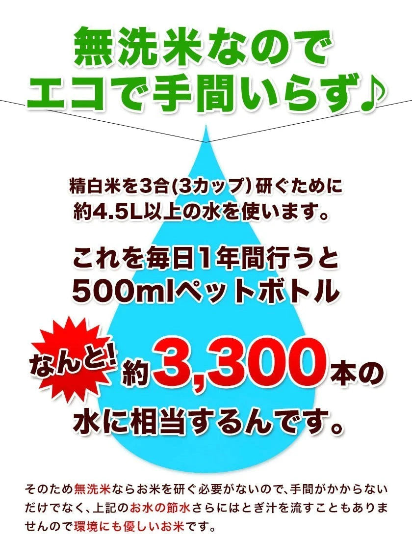 業務用 無洗米 10kg (5kg×2) 送料無料【無洗米の最安値に挑戦中】コメ お徳用 無洗米 白米 非常食 保存食 業務用 訳あり