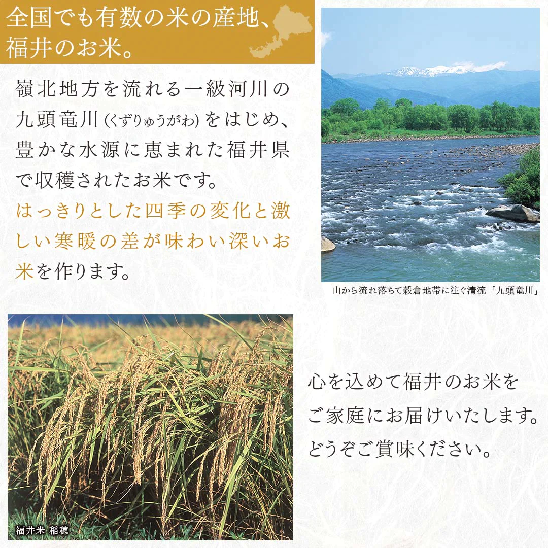 無洗米 米 福井県産 こしひかり 5kg 令和5年産 新米 お米 白米 おくさま印 国産 食品 ギフト 引っ越し 挨拶 出産 内祝い 母の日 父の日 お中元 お歳暮 結婚 快気 還暦 香典返し 寒中 暑中見舞い お年賀 送料無料