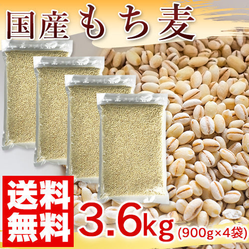 国産 もち麦 3.6kg (純国内産10割)