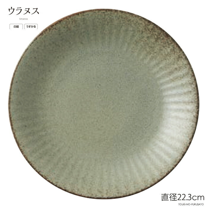 ウラヌスRK70皿 直径22.3cm 緑 グレー 軽量 うすかる 丸皿 大皿 メイン皿 プレート皿 プレート料理 食器 美濃焼 国産 オードブル皿  陶器のふる里  trys亜