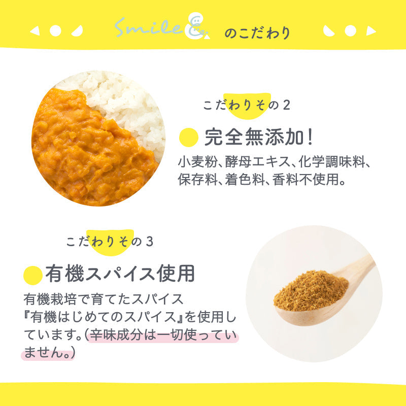 100g×6袋 レトルトカレー カレーレトルト はじめてのカレー（野菜とひよこ豆)【１歳４ヶ月頃～２歳０ヶ月頃まで】無添加 小麦粉不使用 国産素材 国産野菜 有機スパイス 辛味成分ゼロ カレーデビュー 辛くない 甘口 幼児食 こども用カレー 子供向けカレー 保存食 非常食