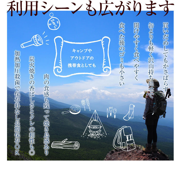 【3人シェア買いでお得】【たれ味×6パック】鶏の炭火焼きたれ味(炭火焼/鳥の炭火焼き/焼鳥/炭火焼鳥/焼肉)100g×6