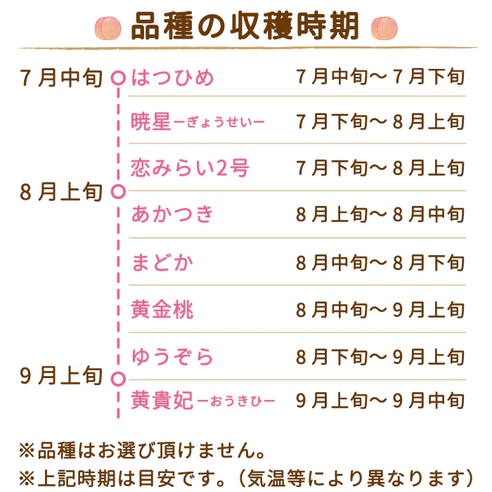 福島県産 桃 約3kg (11?12玉入り) ※収穫状況による変動あり