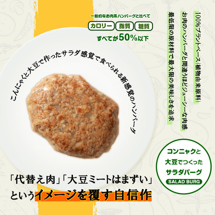 ビーガン(ヴィーガン)食品  大豆ミートハンバーグ  サラダバーグ 90g×3