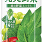伊藤園 充実野菜緑の野菜ミックス 930ml 12本入×2ケース