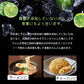 【日本酒 カクテル】 サムライム はちりか リキュール 480ml 2本 旭鶴
