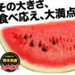 【100人シェア買い企画】衝撃BIGサイズ！スイカ 訳あり ジャンボスイカ 熊本県産 すいか 1玉（約6.8kg前後-約8kg前後）旬 の 果物 夏 キャンプ バーベキュー BBQ 食材 デザート 家庭用 自家用 フルーツ 果物