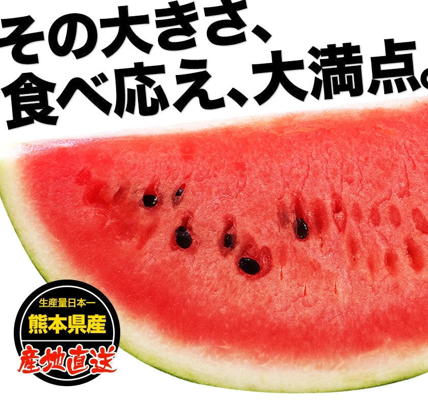 【100人シェア買い企画】衝撃BIGサイズ！スイカ 訳あり ジャンボスイカ 熊本県産 すいか 1玉（約6.8kg前後-約8kg前後）旬 の 果物 夏 キャンプ バーベキュー BBQ 食材 デザート 家庭用 自家用 フルーツ 果物
