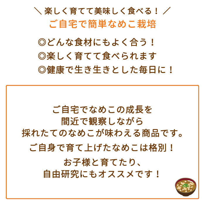なめこ栽培キット×2　福島県産　家庭栽培・自由研究* (クール便)【フレッシュセール】