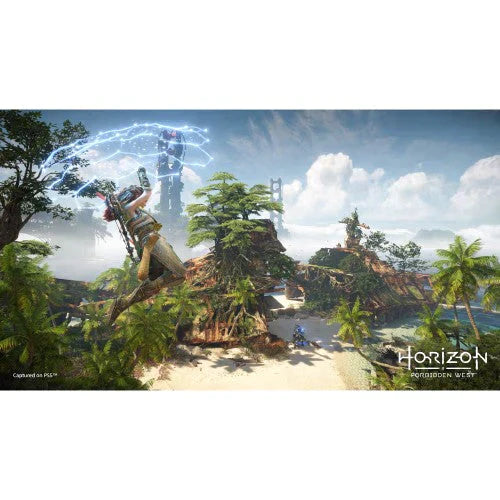 [PS4/PS5] ソニー (SIE) Horizon Forbidden West (ホライゾン フォービドゥン ウエスト) ダウンロード版