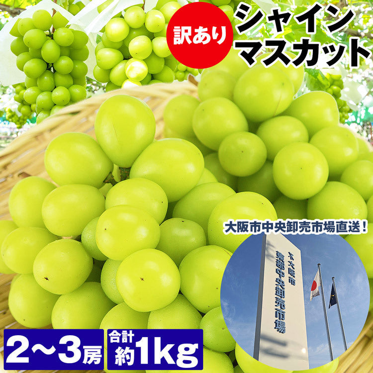 訳あり シャインマスカット 約1kg 2?3房 ご家庭用 お徳用 お買い得 ぶどう 産地厳選 贈答用 ブドウ 種無し 冷蔵便