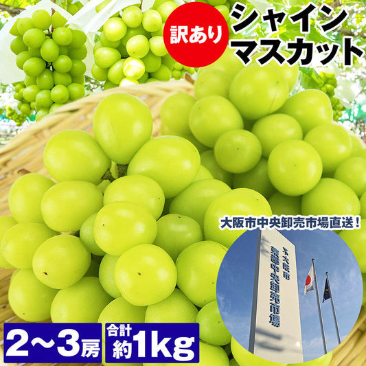 訳あり シャインマスカット 約1kg 2?3房 ご家庭用 お徳用 お買い得 ぶどう 産地厳選 贈答用 ブドウ 種無し 冷蔵便