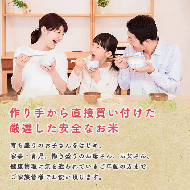 【無洗米10kg】秋田県産　あきたこまち10kg（5kg×2袋）令和4年産　一等米　送料無料米びつ当番【天鷹唐辛子】プレゼント付き【ゲリラセール】