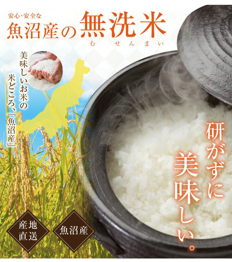 【送料込み】令和５年産 南魚沼産 コシヒカリ 750g 無洗米新潟県 南魚沼 JAみなみ魚沼農協真空包装 天地米